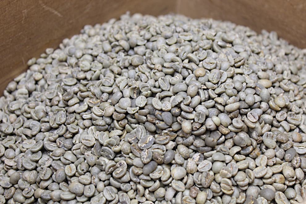 ふじ珈琲 自家焙煎 ハンドピック