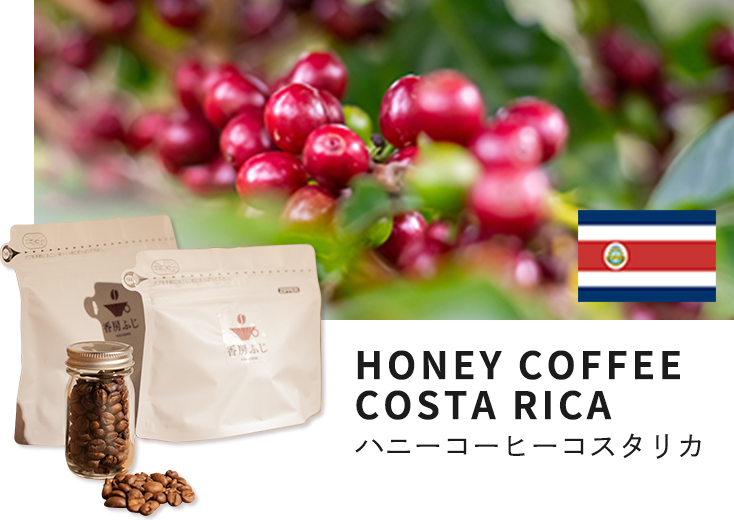 ふじ珈琲 自家焙煎 ハニーコーヒーコスタリカ