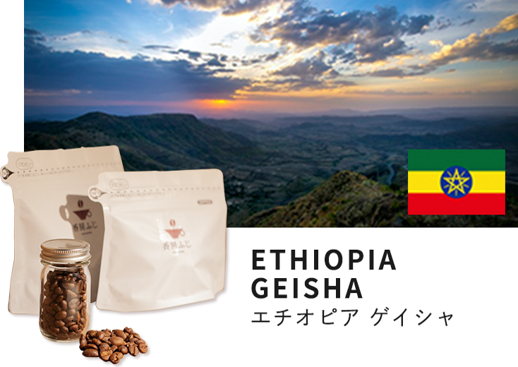 ふじ珈琲 自家焙煎 エチオピア・ゲイシャ