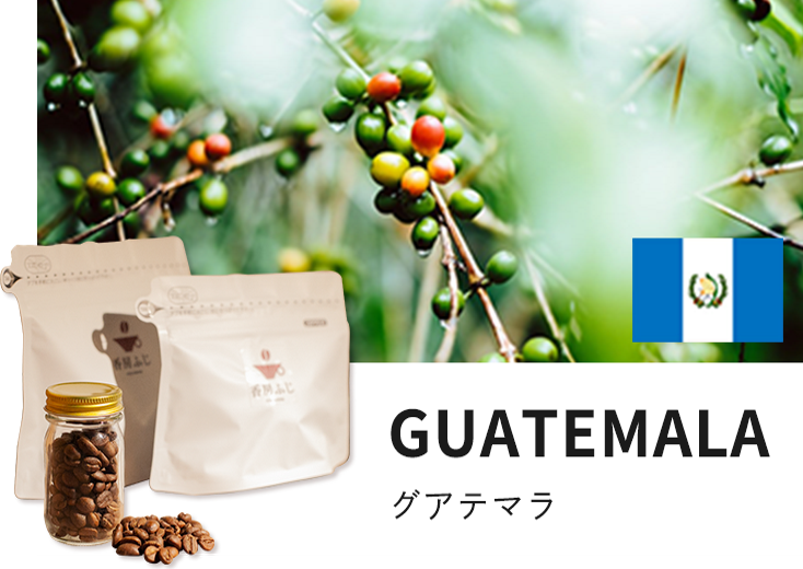 ふじ珈琲 自家焙煎 グアテマラ