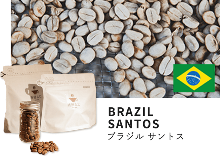 ふじ珈琲 自家焙煎 ブラジル サントス