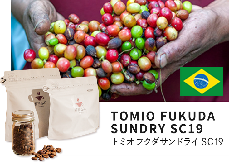 ふじ珈琲 自家焙煎 トミオ フクダ サンドライ ＳＣ１９