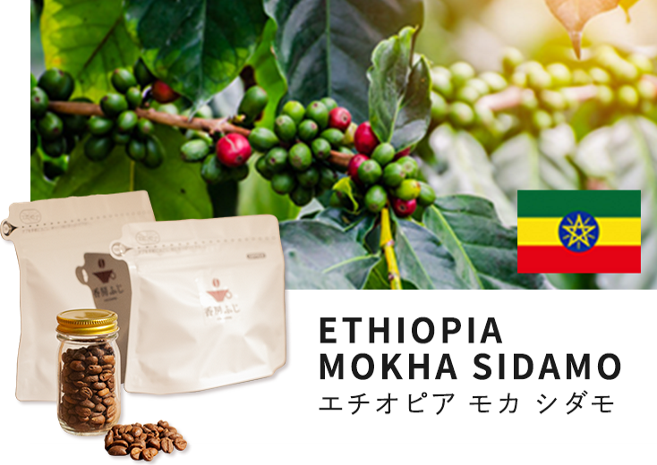 ふじ珈琲 自家焙煎 エチオピア モカ シダモ